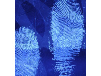 poly4_298684929
